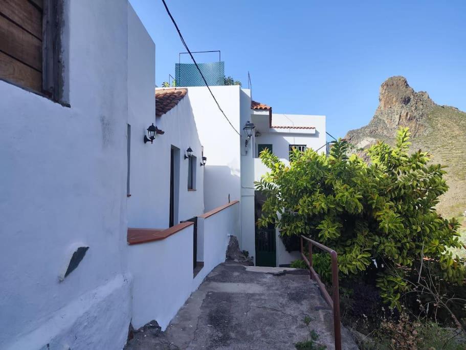 La Casa Vieja Villa Santa Cruz de Tenerife Dış mekan fotoğraf