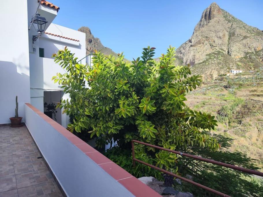 La Casa Vieja Villa Santa Cruz de Tenerife Dış mekan fotoğraf
